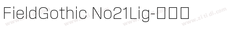 FieldGothic No21Lig字体转换